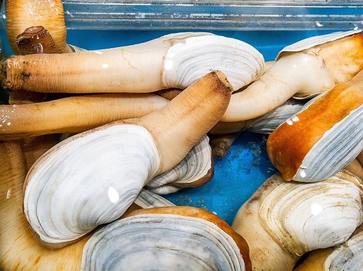 Гуидак моллюск цена в москве