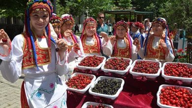 Tekirdag-Kiraz-Festivali