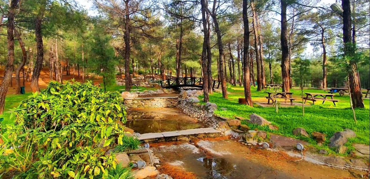 izmir Sasalı Doğa Parkı